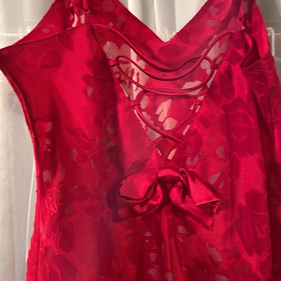 Vintage Victoria’s Secret Gold Label Floral Sheer Intimate Dress - Picture 2 of 5